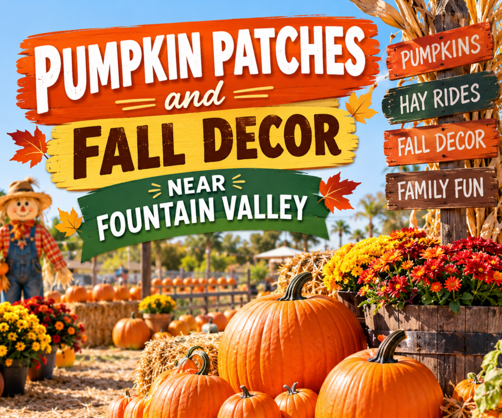 Pumpkin-Patches-and-Fall-Decor-Near-Fountain-Valley